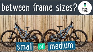 Between Bike Sizes - Should I Size Up or Down? - Ibis Ripley - Women's Mountain Biking