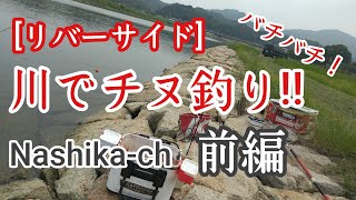 [2020年]夏、あたり連発！！河口で『チヌ釣り』やってみた！！前編