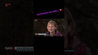 Rückkehr der Wölfe... 👣❣️