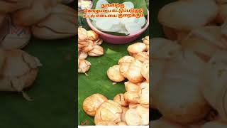 பனை நுங்கின் மருத்துவ பயன்கள் | Nungu | Palm Fruit #MindfulWellnessTips