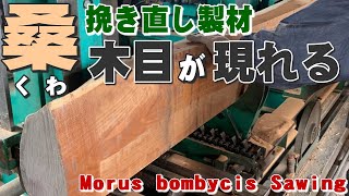 【挽き直し製材】クワ材の修正挽き その３【木の店さんもく】Morus bombycis Sawing