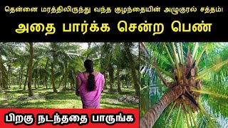 தென்னை மரத்திலிருந்து கேட்ட குழந்தையின் அழுகுரல் சத்தம்!அதை பார்க்க சென்ற பெண்ணுக்கு நடந்ததை பாருங்க