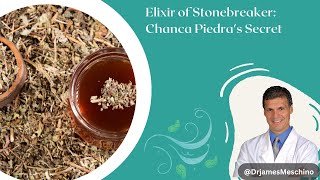 Elixir of Stonebreaker: Chanca Piedra's Secret