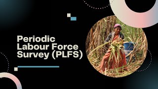 Periodic Labour Force Survey