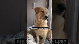 뭔가 할 말 많은 눈빛인데?