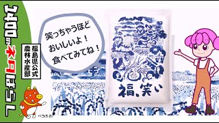 福島県の新しいお米の品種「福笑い」を紹介するよ