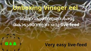 #Betta_fry's ന് കൊടുക്കാവുന്ന ചിലവുകുറഞ്ഞ ഒരു ഫീഡ്