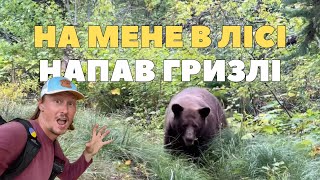 Зустрів ведмедя в дикому лісі — Похід в гори, що змінив моє життя — Подорож по США — Америка