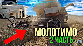 ПОЧАЛИ МОЛОТИТЬ В полі (Продаємо ПШЕНИЦЮ сразу) 2 часть