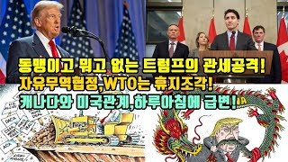 동맹이고 뭐고 없는 트럼프의 관세공격!/자유무역협정, WTO는 휴지조각!/캐나다와 미국관계, 하루아침에 급변!