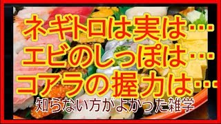 【衝撃】知らないほうがよかった…ネギトロの秘密・エビの尻尾は○○と同じ成分！