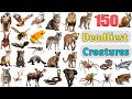 Deadliest Creatures Vocabulary ll 150 Deadliest Animals Name In English With Pictures ll Animals