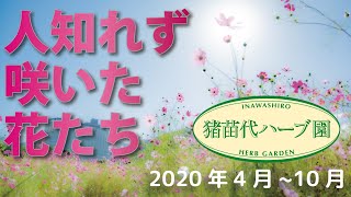 2020年4月~10月 猪苗代ハーブ園の植物たち 【ホテルリステル猪苗代】