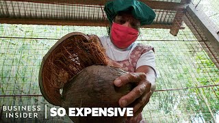 Why Coconut Oil Is So Expensive | So Expensive | Business Insider