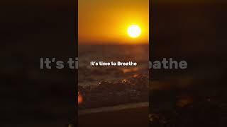 Ready to take a breath? Join us in Nosara, Costa Rica - April 2025 Yoga Retreat. FiveParksYoga.com