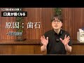 【愛犬が1日でも長く健康でいるために】シニア期の症状５選＋対策。当店おすすめのサプリメントも紹介します