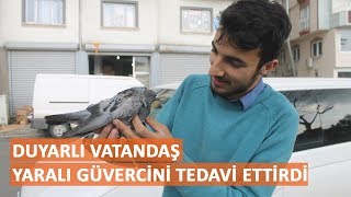 Duyarlı vatandaş aracın motoruna giren yaralı güvercini tedavi ettirdi