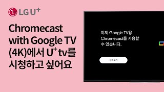 [U+tv] Chromecast with Google TV (4K)에서 U+tv를 시청하고 싶어요