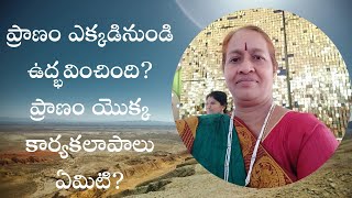 ప్రాణం ఎక్కడినుండి ఉద్భవించింది? ప్రాణం యొక్క కార్యకలాపాలు ఏమిటి?by కమల కుమారి   మేడం||3pm to 4pm IS