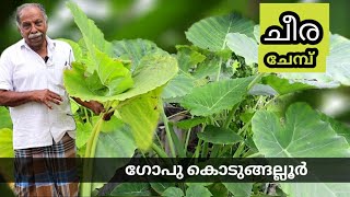 ചീരചേമ്പ്/മധുരമുള്ള ഇലക്കറി/Cheera chembu/Gopu kodungallur/Episode-8/Oru Tech Yathra