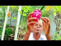 terrace garden very beautiful garden ..மாடித்தோட்டம் anithaslifediary gardening terrace shorts