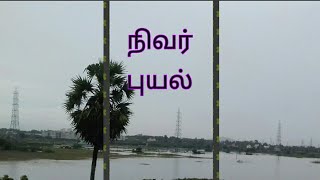 #Shorts #shortvideo #Nivarcyclone #heavyrainfall | Captured from our balcony