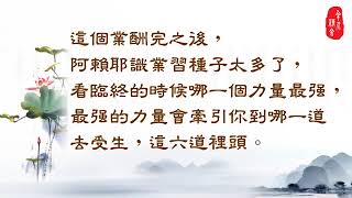 淨空法師法語精華─一生皆是命，半點不由人 3