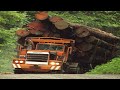 This monster wood logging truck operator is INCREDIBLE. Dangerous heavy equipment truck driving