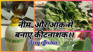 आर्गेनिक कीटनाशक बनाने की बिधि। Start gardening for free🆓 Important tips for New Gardener 🏡Part-9