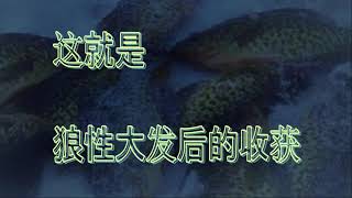 2021冰钓行  之八   狼行千里，活鱼逆流