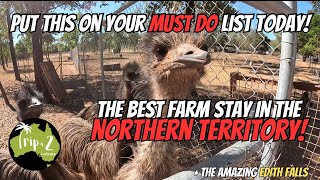 You’re going to love KATHERINE FARM STAY | The AMAZING Edith Falls | We ❤️ the NT - Ep 54