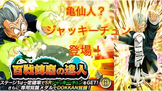 【ドッカンバトル】第14章(強襲) 百戦錬磨の達人 ジャッキーチュン【Dragon Ball Dokkan Batlle】