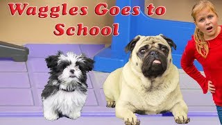 Waggles goes to School  with Paw Patrol and the Assistant