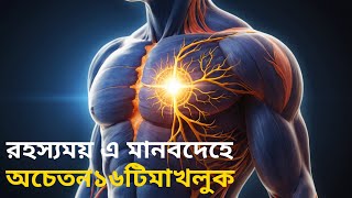 রহস্যময় এ মানবদেহে অচেতন ১৬টি মাখলুক | There Are 16 Unconscious Beings In This Human Body