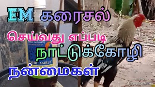 em கரைசல் தயார் செய்வது எப்படி ( நாட்டுக்கோழி em கரைசல் பயன்கள்)