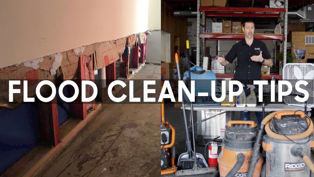 Flood Clean Up 5 Steps Including Mold Control Youtube