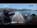 【海洋資源】消失中的季節限定：東北角的石花菜 我們的島 第817集 2015 07 20