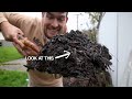 5 Things I Learned That Changed The Way I Compost