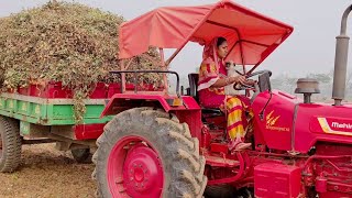 Monalisa the Indian woman's heavy loaded Tractor driving with her cute Mangal