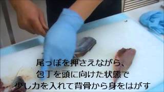 アジの３枚おろし（魚の基本的なおろし方）【ローヤルよつや】