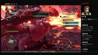 モンハンワールドMHW:I #39 こじんまり～HR658MR198ハンターのアイスボーン