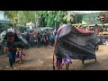 Barongan Turonggo Laras Puspo Budoyo (Part-2)