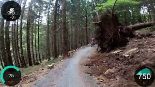 Singletrack Glacensis - Pętla pod Śnieżnikiem (nowa sekcja - zjazd do parkingu)