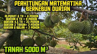 🔴🔴HASIL DAN PENGELUARAN BERKEBUN DURIAN 5000 M² ‼️ DI AWAL2 MULAI BERBUAH JIKA DI RATA2 💯✅️