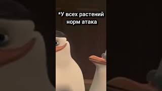 Все актуальные новости по PvZ в тгк: ProstoOrexx #pvzmemes #мем #pvz1 #shorts