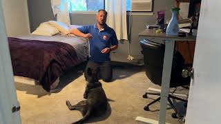 Tips to Help Bear Develop Impulse Control