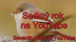 Sedmý rok na YouTube, Seventh year on YouTube, Siebtes Jahr auf YouTube, Zevende jaar op YouTube,