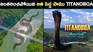 ప్రపంచంలోనే అతి పెద్ద పాము టైటానోబోవ | titanoboa snake in telugu | titanoboa snake video | Telugu