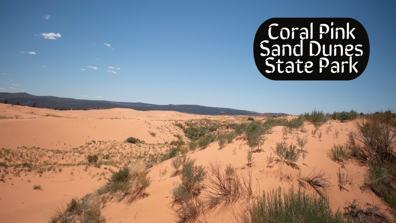 Coral Pink Sand Dunes State Park - Really Strong Wind And Lot's Of Sand ...