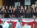 new harmonists in graben neudorf